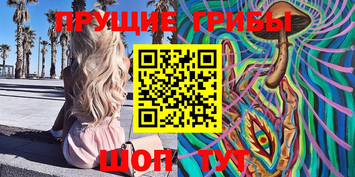 Псилоцибиновые грибы GOLDEN TEACHER  Вход с VPN  Кудрово 